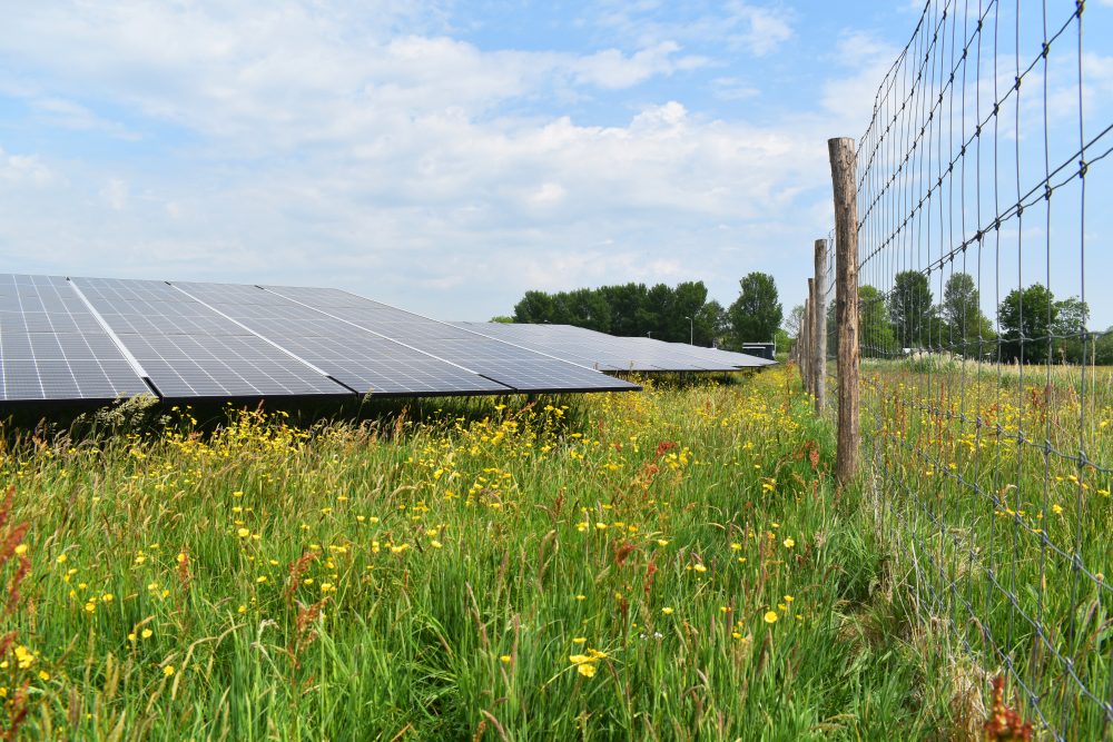 Zonnepark Oppenhuizen - PowerField