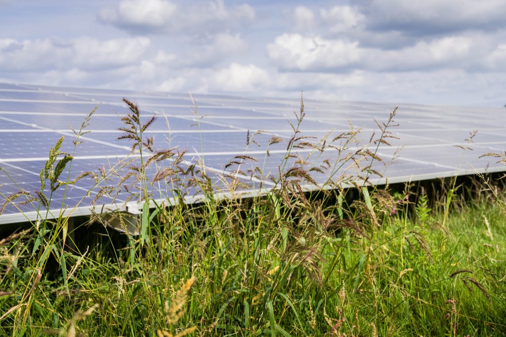 Zonnepark Heino - PowerField