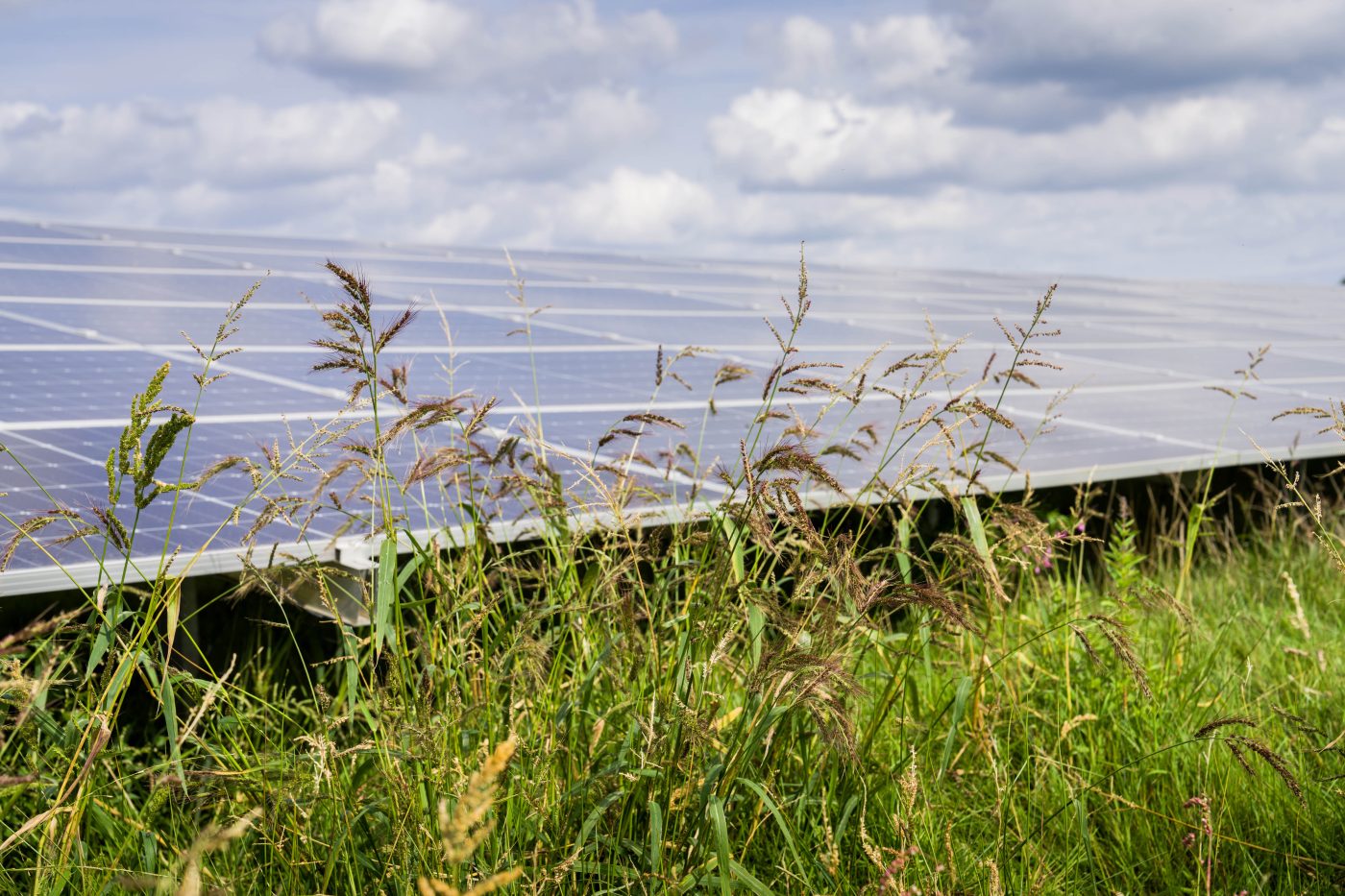 Zonnepark Heino - PowerField