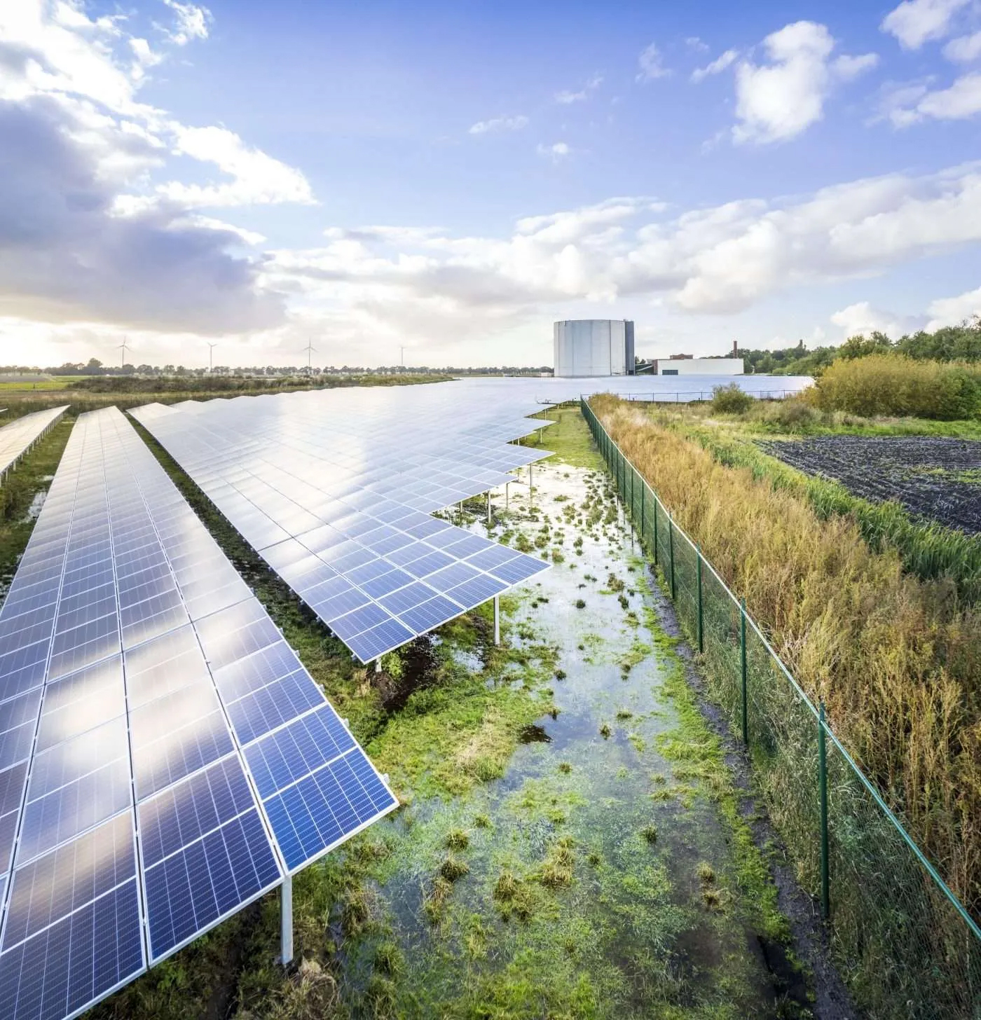 Zonnepark Ommelanderwijk - PowerField