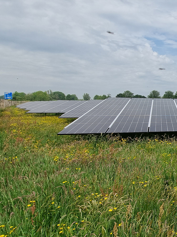 zonnepark-oppenhuizen-powerfield Zonnepark Oppenhuizen - PowerField