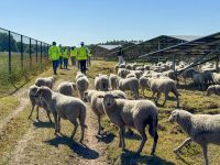 Schoolbezoek Zonnepark Boxmeer - PowerField